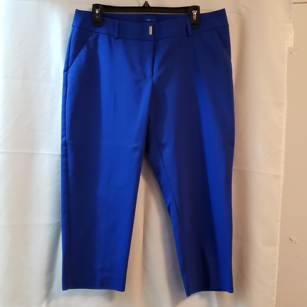 Apt. 9 Torie Capri size 12